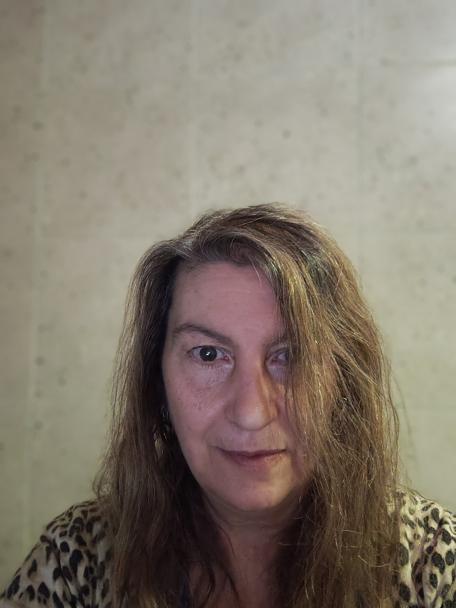 Mabel Alicia Sampaolesi